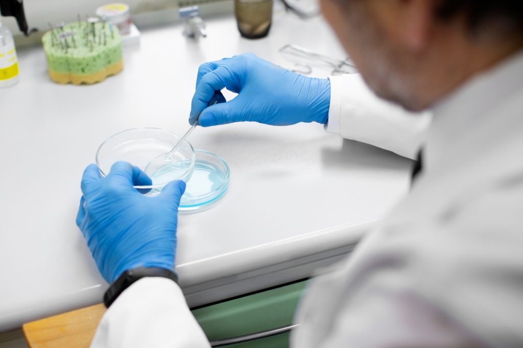 Embryo development failure