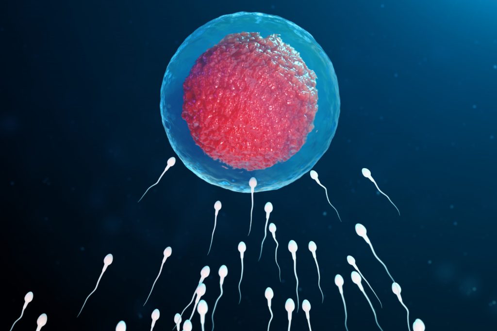 Unexplained infertility and egg quality